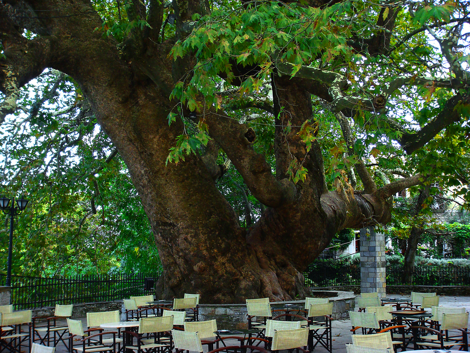  Spend the Easter days on the magical mountain of the Centaurs, in the beautiful Pelion!